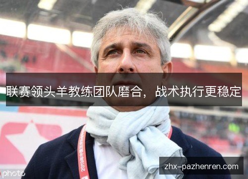 联赛领头羊教练团队磨合，战术执行更稳定